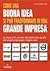 Come una buona idea si può ...