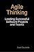 Agile Thinking: Leading Successful Software Projects and Teams