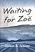 Waiting for Zoe by James R. Ament