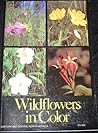 Wildflowers in Color