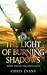 The Light of Burning Shadows by Chris  Evans