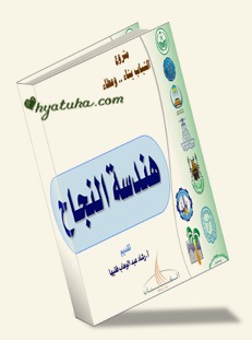 هندسة النجاح