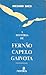 A história de Fernão Capelo Gaivota by Richard Bach