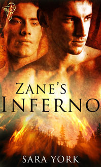 Zane's Inferno (ebook)