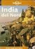 India Del Nord  (Lonely Planet)