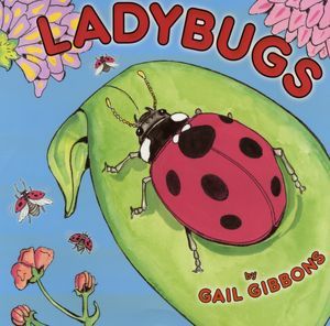 Ladybugs (Hardcover)