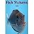 Fish Pictures Volume 1