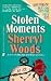 Stolen Moments (Amanda Roberts Mystery #3)
