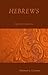 Hebrews: Expository Essays Series