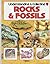 Understanding & Collecting Rocks  & Fossils