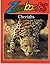 Cheetahs (Zoobooks)