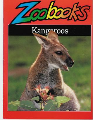 Kangaroos (Paperback)