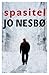Spasitel (Harry Hole, #6)