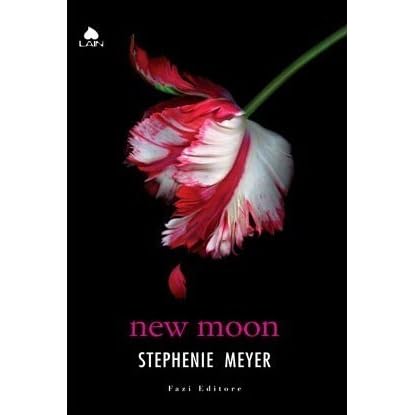 New moon summary picture