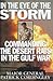 In the Eye of the Storm : Commanding the Desert Rats in the Gulf War