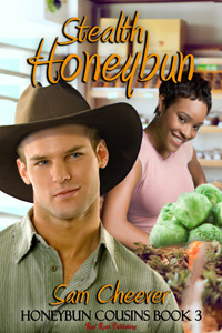 Stealth Honeybun (ebook)