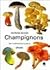 Champignons by Georges Becker Champignons by Georges Becker