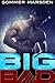 Big Bad (Big Bad #1)