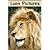 Lion Pictures