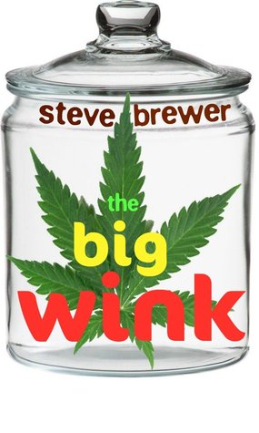 The Big Wink (Kindle Edition)