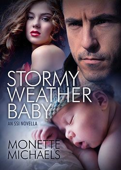 Stormy Weather Baby (Security Specialists International, #1.5)