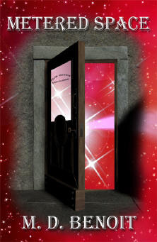 Metered Space (Paperback)