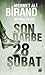 Son Darbe by Mehmet Ali Birand