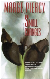 Small Changes (Paperback)