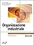 Organizzazione industriale