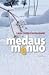 Medaus mėnuo