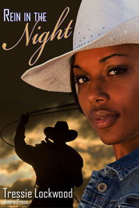 Rein in the Night (Kindle Edition)