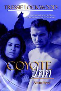 Coyote Inn (Kindle Edition)