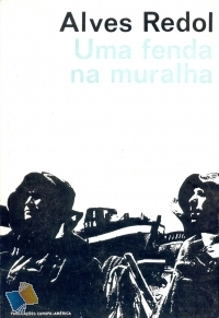 Uma Fenda na Muralha