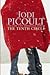 The Tenth Circle by Jodi Picoult
