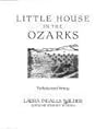 Little House in t...