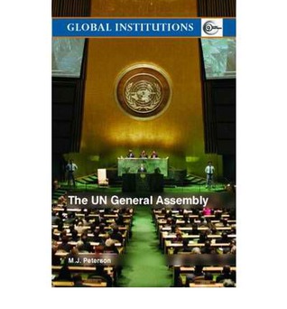 The UN General Assembly