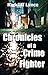 Chronicles of a Crime Fighter