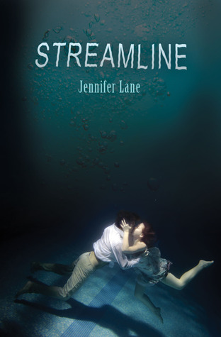 Streamline (Paperback)