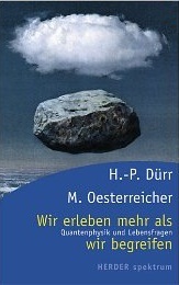 Wir erleben mehr als wir begreifen (Paperback)