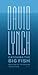 Catching The Big Fish - Meditaatio, Tietoisuus ja Luovuus by David Lynch Catching The Big Fish - Meditaatio, Tietoisuus ja Luovuus by David Lynch