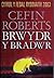 BRWYDR Y BRADWR