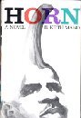 Horn (Hardcover)