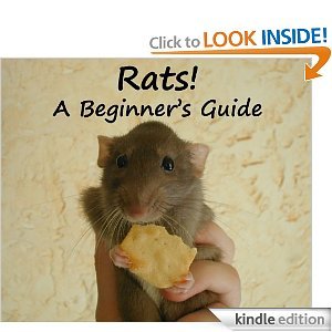 Rats! A Beginner's Guide