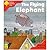 The Flying Elephant (Oxford Reading Tree, Stage 4, More Stories Pack B)