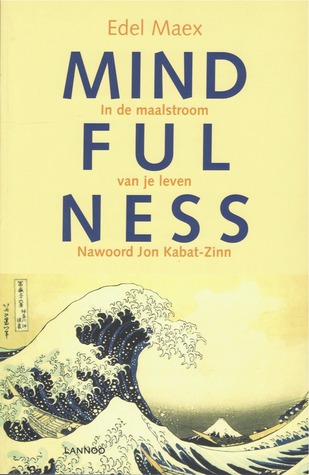 Mindfulness: in de maalstroom van je leven (Paperback)
