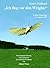 Gustav Weißkopf: "Ich flog vor den Wrights": erster Motorflug 14. August 1901; eine Zusammenfassung von Ergebnissen der Weißkopf-Forschung
