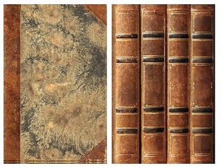 Boken & Biblioteket