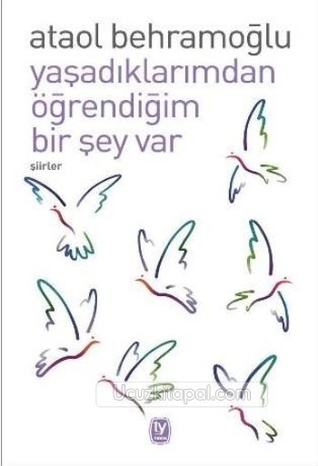 Yaşadıklarımdan Öğrendiğim Bir Şey Var