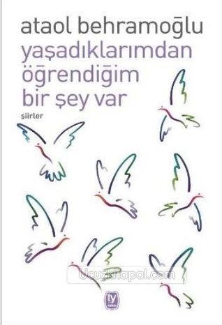 Yaşadıklarımdan Öğrendiğim Bir Şey Var (Paperback)