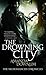 The Drowning City by Amanda Downum